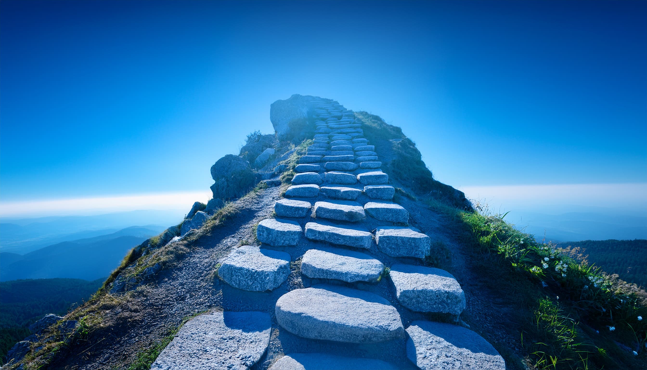 Journey to Web Components: From Fundamentals to Advanced UI Architecture